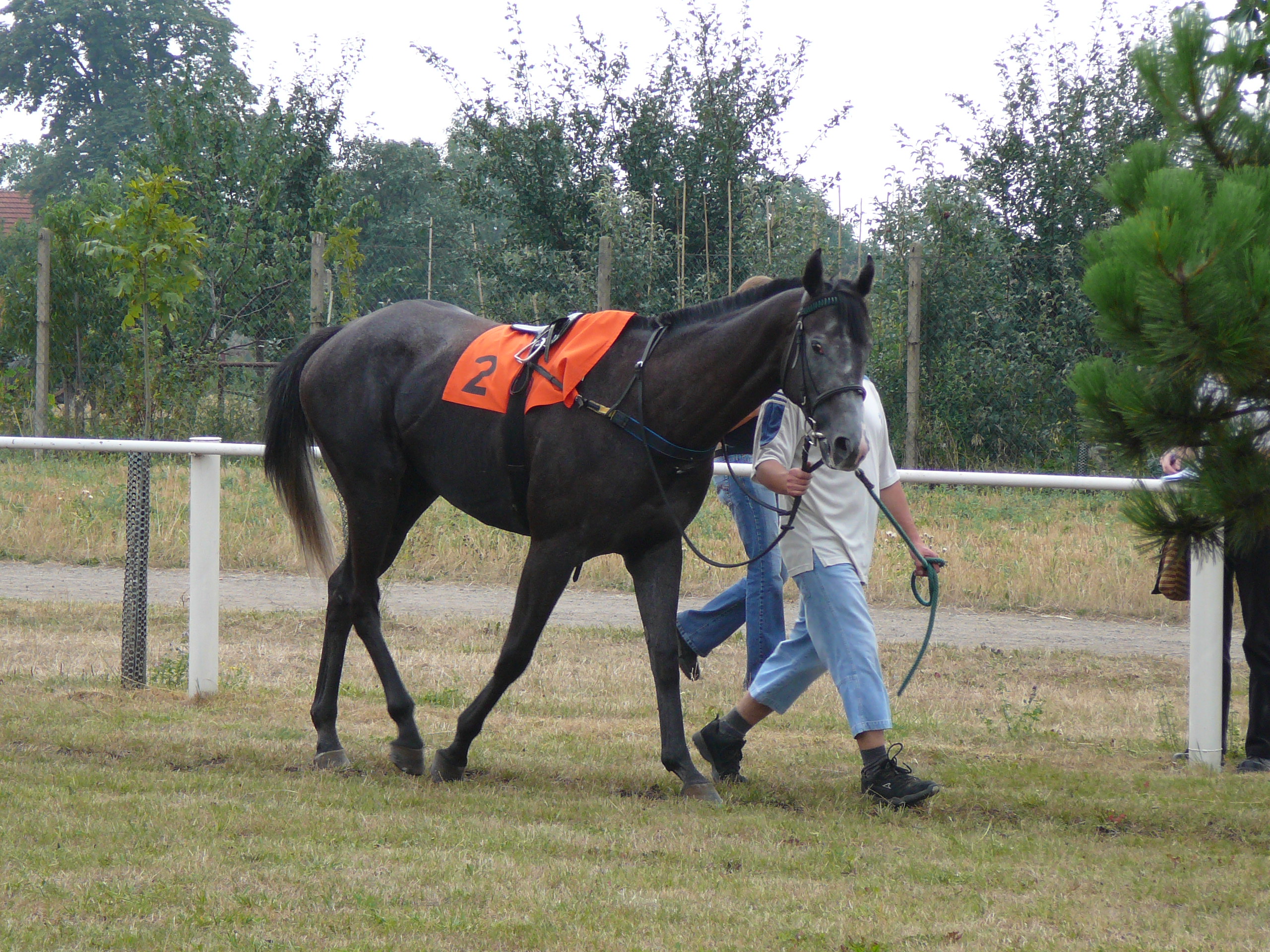 P1010433.JPG